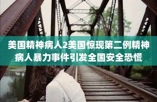 美国精神病人2美国惊现第二例精神病人暴力事件引发全国安全恐慌