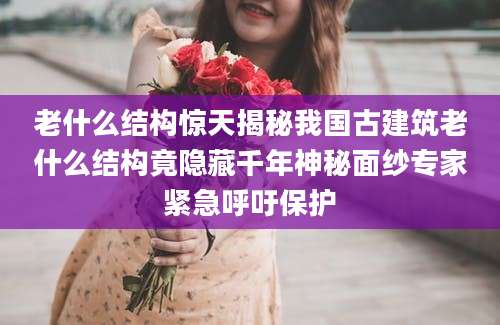 老什么结构惊天揭秘我国古建筑老什么结构竟隐藏千年神秘面纱专家紧急呼吁保护
