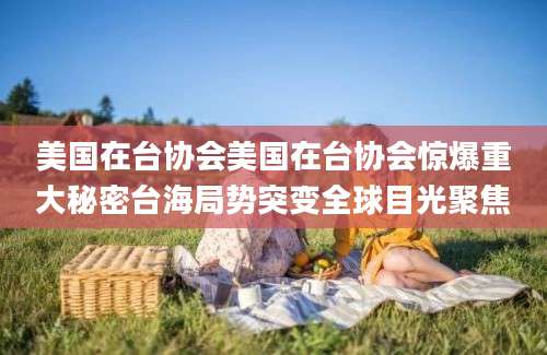 美国在台协会美国在台协会惊爆重大秘密台海局势突变全球目光聚焦