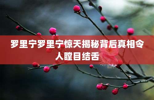 罗里宁罗里宁惊天揭秘背后真相令人瞠目结舌