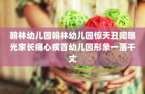 翰林幼儿园翰林幼儿园惊天丑闻曝光家长痛心疾首幼儿园形象一落千丈