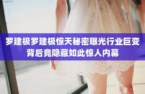 罗建极罗建极惊天秘密曝光行业巨变背后竟隐藏如此惊人内幕