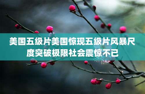 美国五级片美国惊现五级片风暴尺度突破极限社会震惊不已