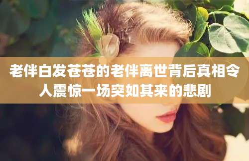 老伴白发苍苍的老伴离世背后真相令人震惊一场突如其来的悲剧