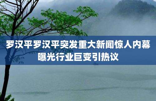 罗汉平罗汉平突发重大新闻惊人内幕曝光行业巨变引热议