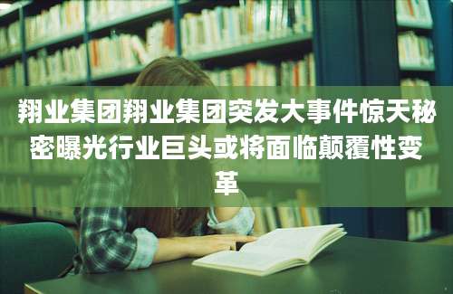 翔业集团翔业集团突发大事件惊天秘密曝光行业巨头或将面临颠覆性变革