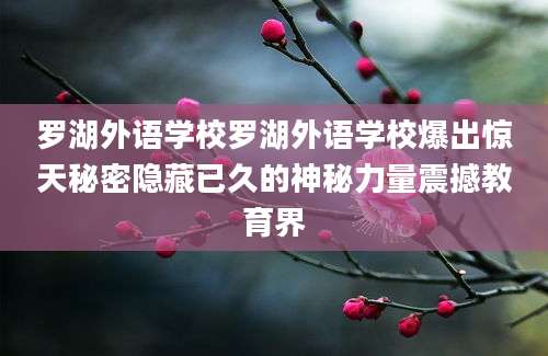 罗湖外语学校罗湖外语学校爆出惊天秘密隐藏已久的神秘力量震撼教育界