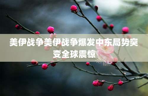 美伊战争美伊战争爆发中东局势突变全球震惊
