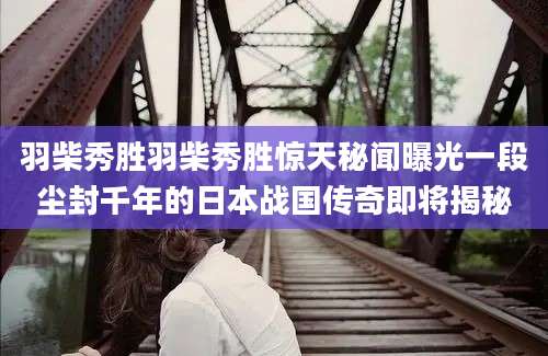 羽柴秀胜羽柴秀胜惊天秘闻曝光一段尘封千年的日本战国传奇即将揭秘