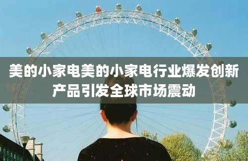 美的小家电美的小家电行业爆发创新产品引发全球市场震动