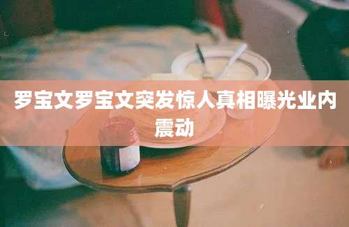 罗宝文罗宝文突发惊人真相曝光业内震动