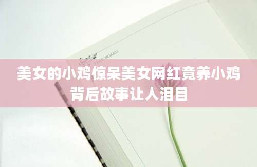 美女的小鸡惊呆美女网红竟养小鸡背后故事让人泪目