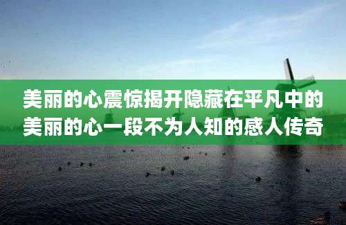 美丽的心震惊揭开隐藏在平凡中的美丽的心一段不为人知的感人传奇