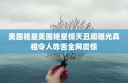 美国艳星美国艳星惊天丑闻曝光真相令人咋舌全网震惊
