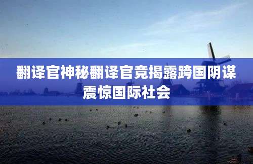 翻译官神秘翻译官竟揭露跨国阴谋震惊国际社会
