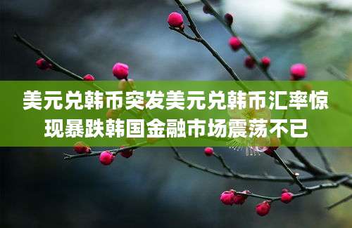 美元兑韩币突发美元兑韩币汇率惊现暴跌韩国金融市场震荡不已