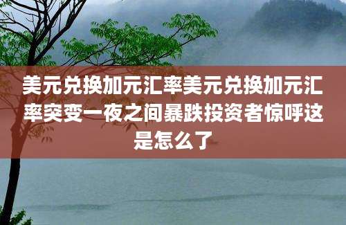 美元兑换加元汇率美元兑换加元汇率突变一夜之间暴跌投资者惊呼这是怎么了