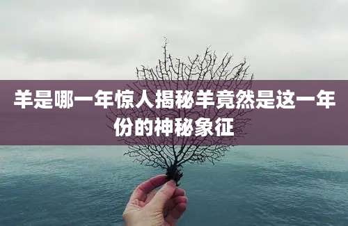 羊是哪一年惊人揭秘羊竟然是这一年份的神秘象征