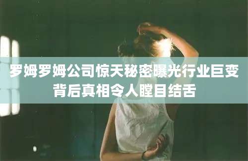 罗姆罗姆公司惊天秘密曝光行业巨变背后真相令人瞠目结舌