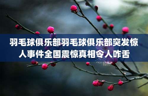 羽毛球俱乐部羽毛球俱乐部突发惊人事件全国震惊真相令人咋舌