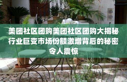 美团社区团购美团社区团购大揭秘行业巨变市场份额激增背后的秘密令人震惊