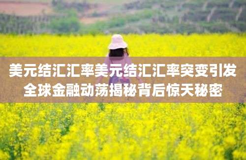 美元结汇汇率美元结汇汇率突变引发全球金融动荡揭秘背后惊天秘密