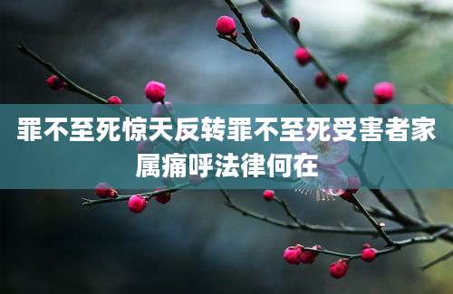 罪不至死惊天反转罪不至死受害者家属痛呼法律何在