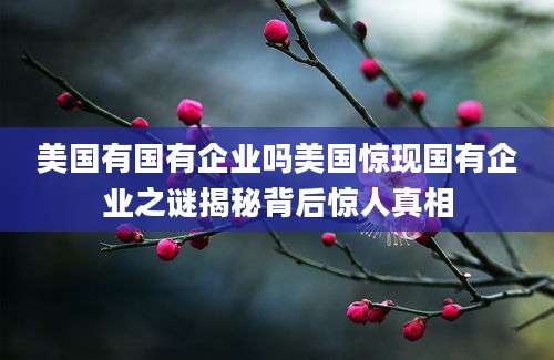 美国有国有企业吗美国惊现国有企业之谜揭秘背后惊人真相