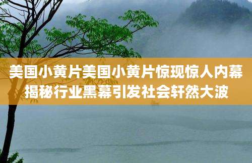 美国小黄片美国小黄片惊现惊人内幕揭秘行业黑幕引发社会轩然大波