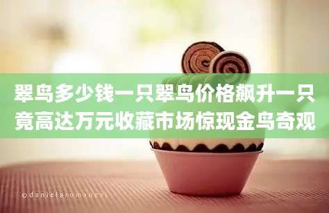 翠鸟多少钱一只翠鸟价格飙升一只竟高达万元收藏市场惊现金鸟奇观