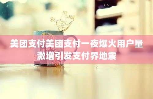 美团支付美团支付一夜爆火用户量激增引发支付界地震