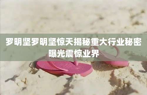 罗明坚罗明坚惊天揭秘重大行业秘密曝光震惊业界