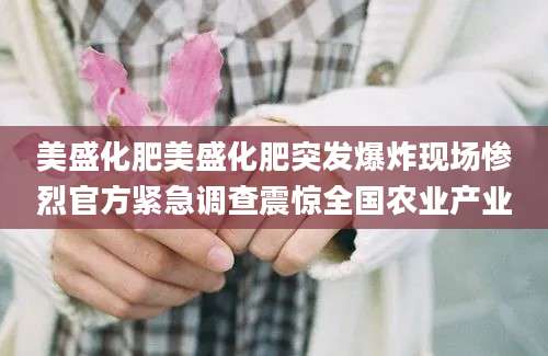 美盛化肥美盛化肥突发爆炸现场惨烈官方紧急调查震惊全国农业产业
