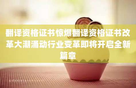 翻译资格证书惊爆翻译资格证书改革大潮涌动行业变革即将开启全新篇章