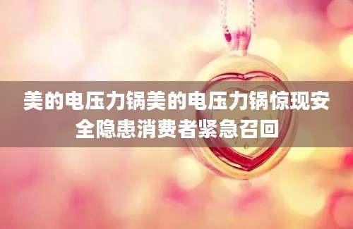 美的电压力锅美的电压力锅惊现安全隐患消费者紧急召回