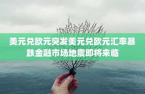 美元兑欧元突发美元兑欧元汇率暴跌金融市场地震即将来临
