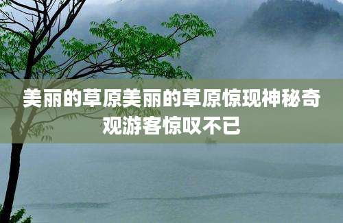 美丽的草原美丽的草原惊现神秘奇观游客惊叹不已