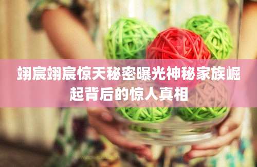 翊宸翊宸惊天秘密曝光神秘家族崛起背后的惊人真相