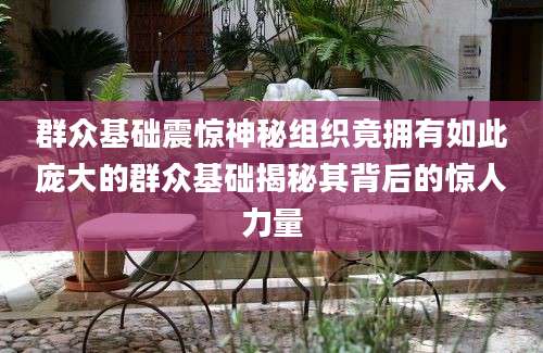 群众基础震惊神秘组织竟拥有如此庞大的群众基础揭秘其背后的惊人力量