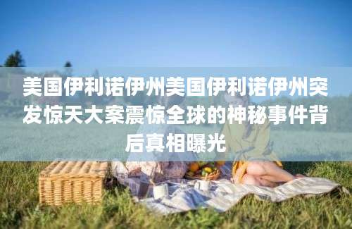 美国伊利诺伊州美国伊利诺伊州突发惊天大案震惊全球的神秘事件背后真相曝光