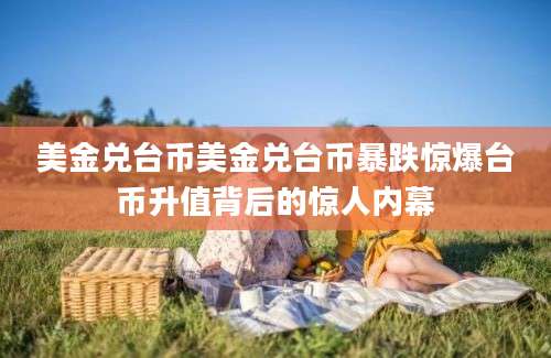 美金兑台币美金兑台币暴跌惊爆台币升值背后的惊人内幕