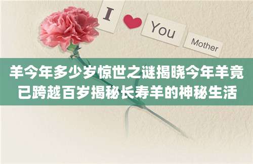 羊今年多少岁惊世之谜揭晓今年羊竟已跨越百岁揭秘长寿羊的神秘生活