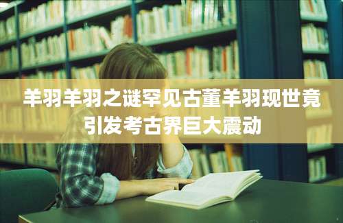 羊羽羊羽之谜罕见古董羊羽现世竟引发考古界巨大震动