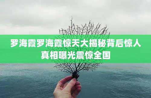 罗海霞罗海霞惊天大揭秘背后惊人真相曝光震惊全国