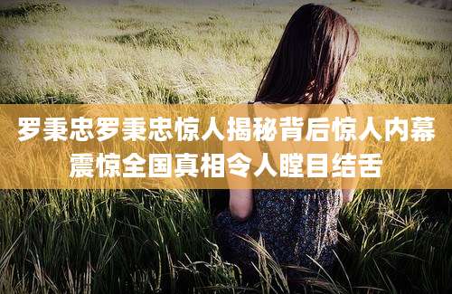 罗秉忠罗秉忠惊人揭秘背后惊人内幕震惊全国真相令人瞠目结舌