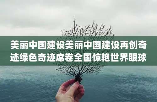 美丽中国建设美丽中国建设再创奇迹绿色奇迹席卷全国惊艳世界眼球