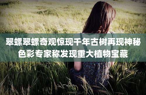 翠螺翠螺奇观惊现千年古树再现神秘色彩专家称发现重大植物宝藏