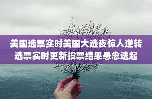 美国选票实时美国大选夜惊人逆转选票实时更新投票结果悬念迭起