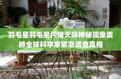 羽毛星羽毛星闪耀天际神秘现象震撼全球科学家紧急调查真相