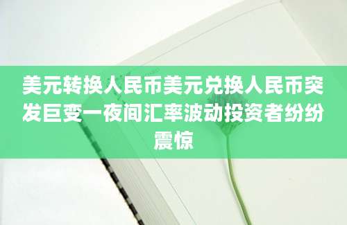 美元转换人民币美元兑换人民币突发巨变一夜间汇率波动投资者纷纷震惊